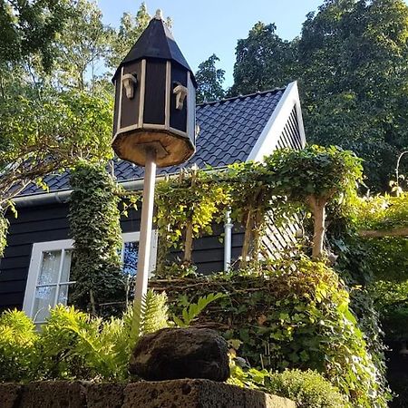 Tiny House Tholenヴィラ エクステリア 写真