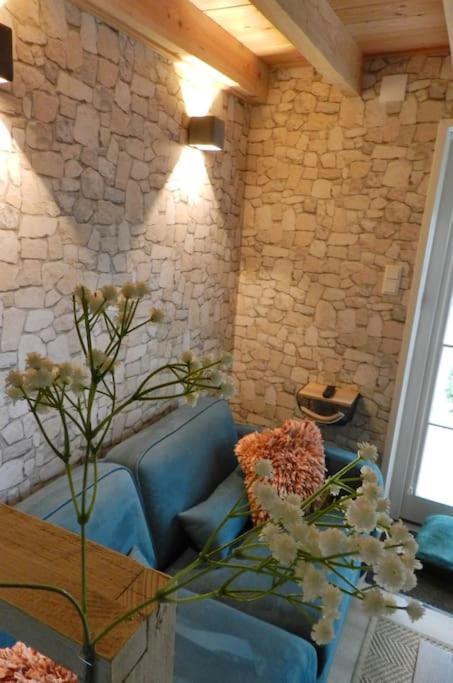 Tiny House Tholenヴィラ エクステリア 写真