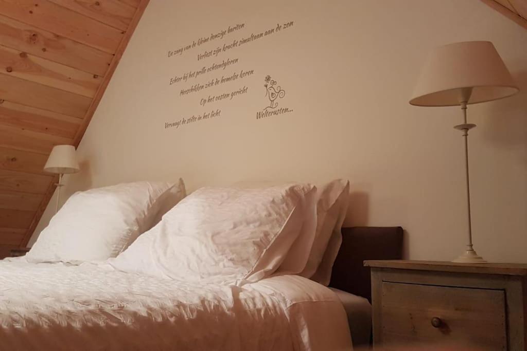 Tiny House Tholenヴィラ エクステリア 写真